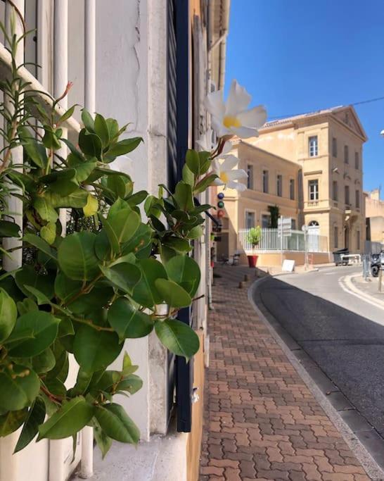 Studios Du Marin Sur Port De Ла Сиота Екстериор снимка